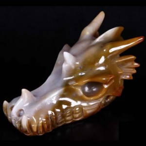 Crâne de dragon du dragon Arzus