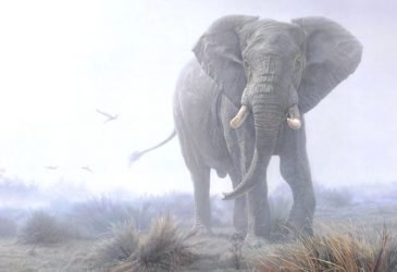 Éléphant symbolique de cet animal totem