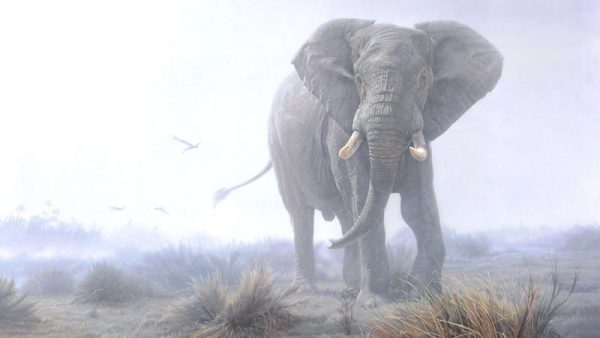 Éléphant symbolique de cet animal totem